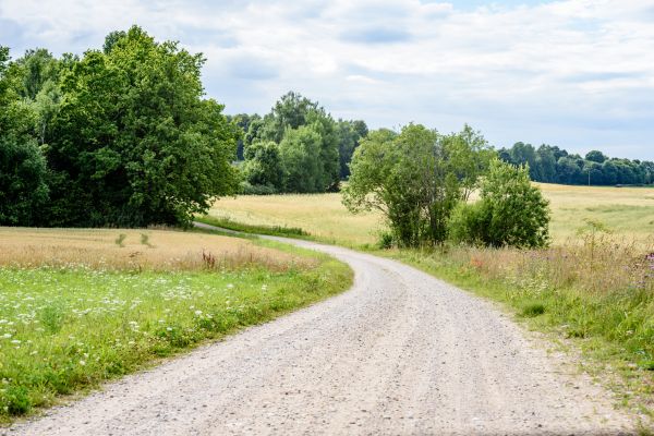 Cost of Stone Driveway Repair in Sparks