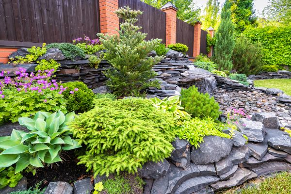 Landscape Remodeling