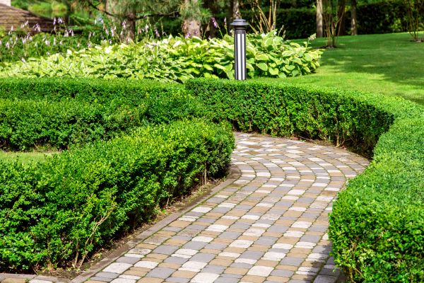 Cost of Paved Landscaping in Sparks